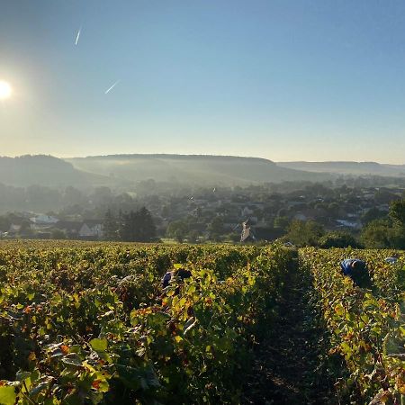 Nuit'S Feerique En Champagne Villa Meurville Eksteriør billede