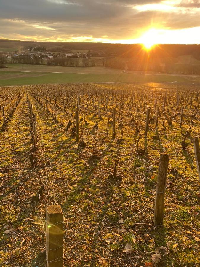 Nuit'S Feerique En Champagne Villa Meurville Eksteriør billede