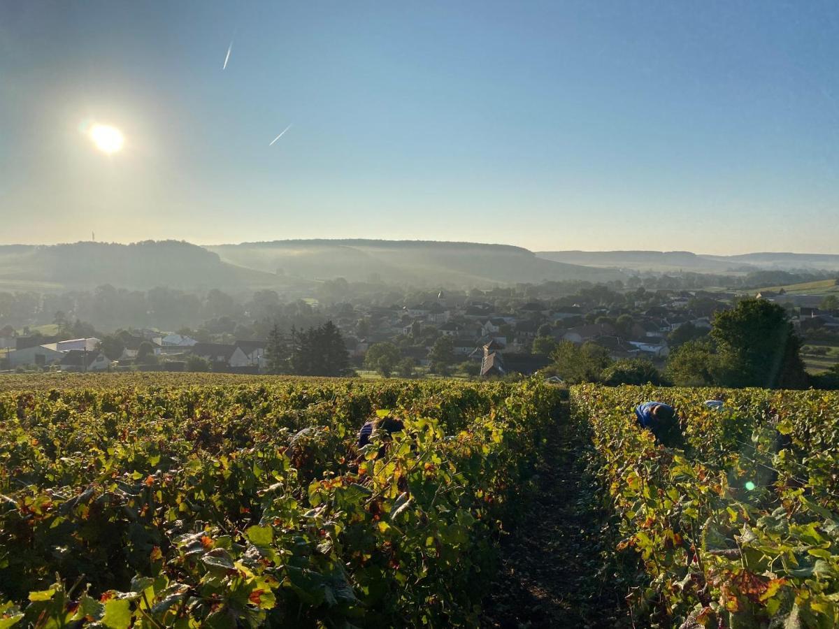 Nuit'S Feerique En Champagne Villa Meurville Eksteriør billede